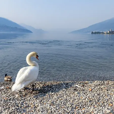 Regina Szálloda Gravedona