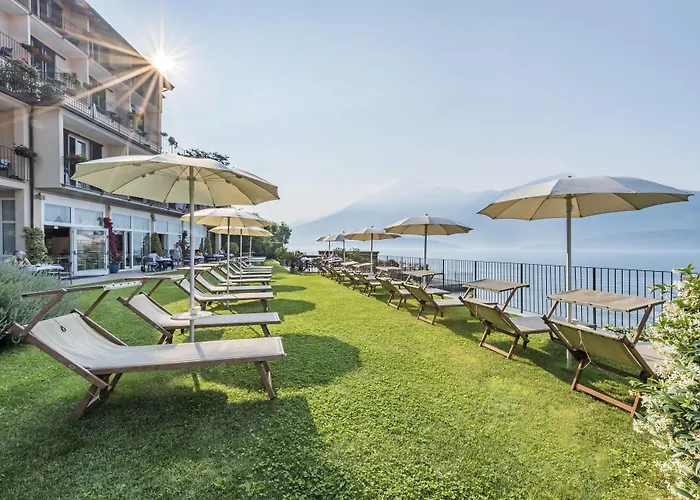 Regina Граведона