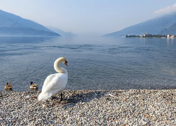 Regina Hotel Gravedona